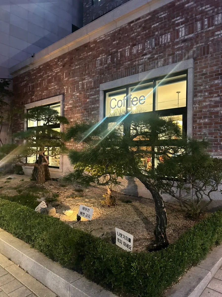 Petrico's exterior on Jandari-ro in Seogyo-dong lit up in the evening