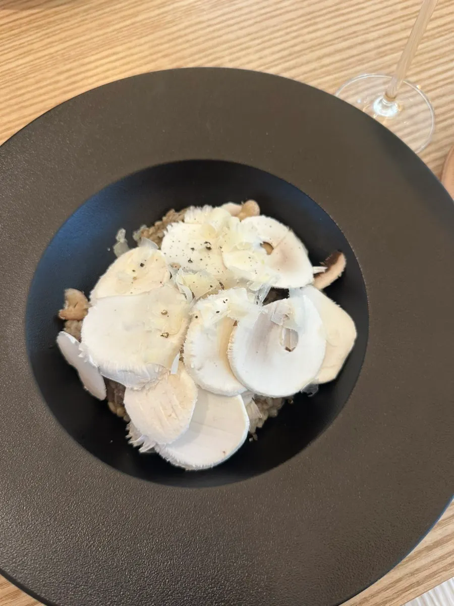 Truffle mushroom risotto topped with three kinds of mushrooms