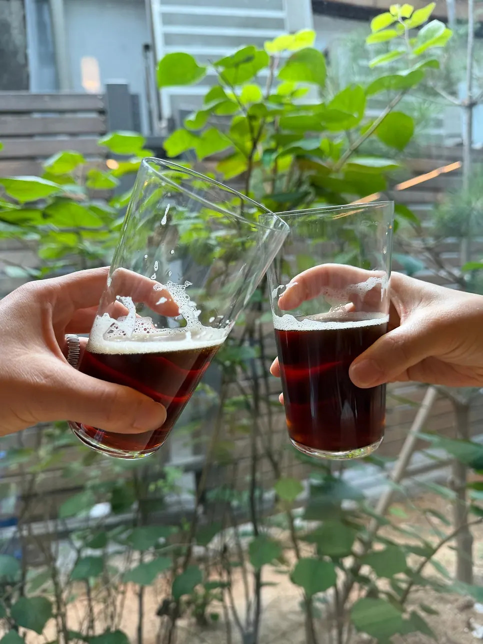 Two craft beers paired with lunch
