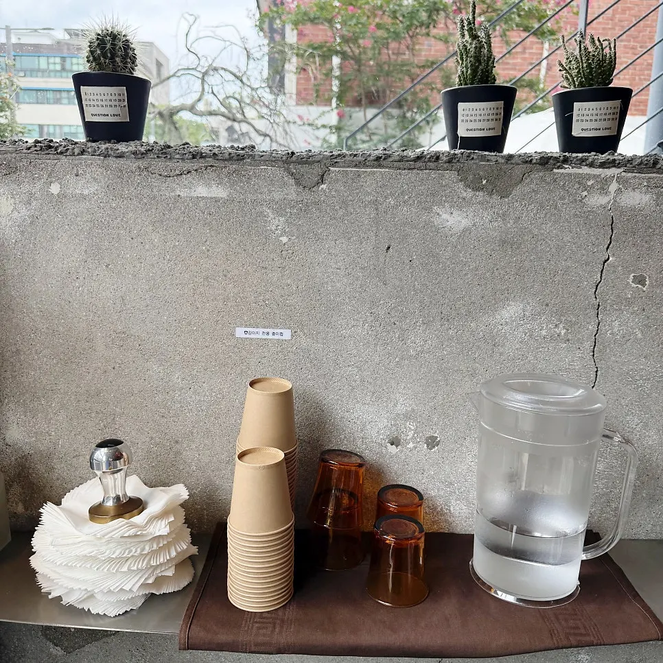 A dog-only paper cup next to the water cups
