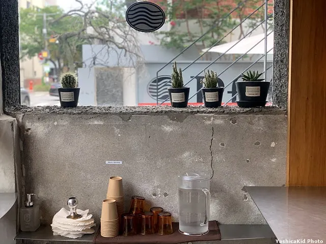 Small cactus pots on the counter
