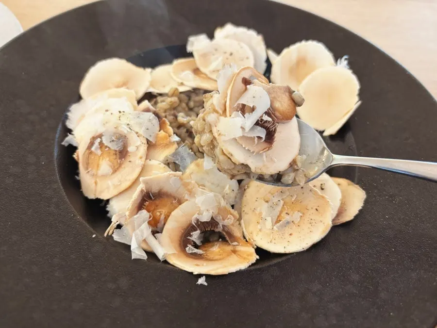 Truffle mushroom risotto piled high with mushrooms