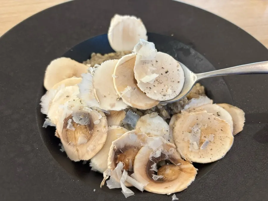 A spoonful of truffle mushroom risotto