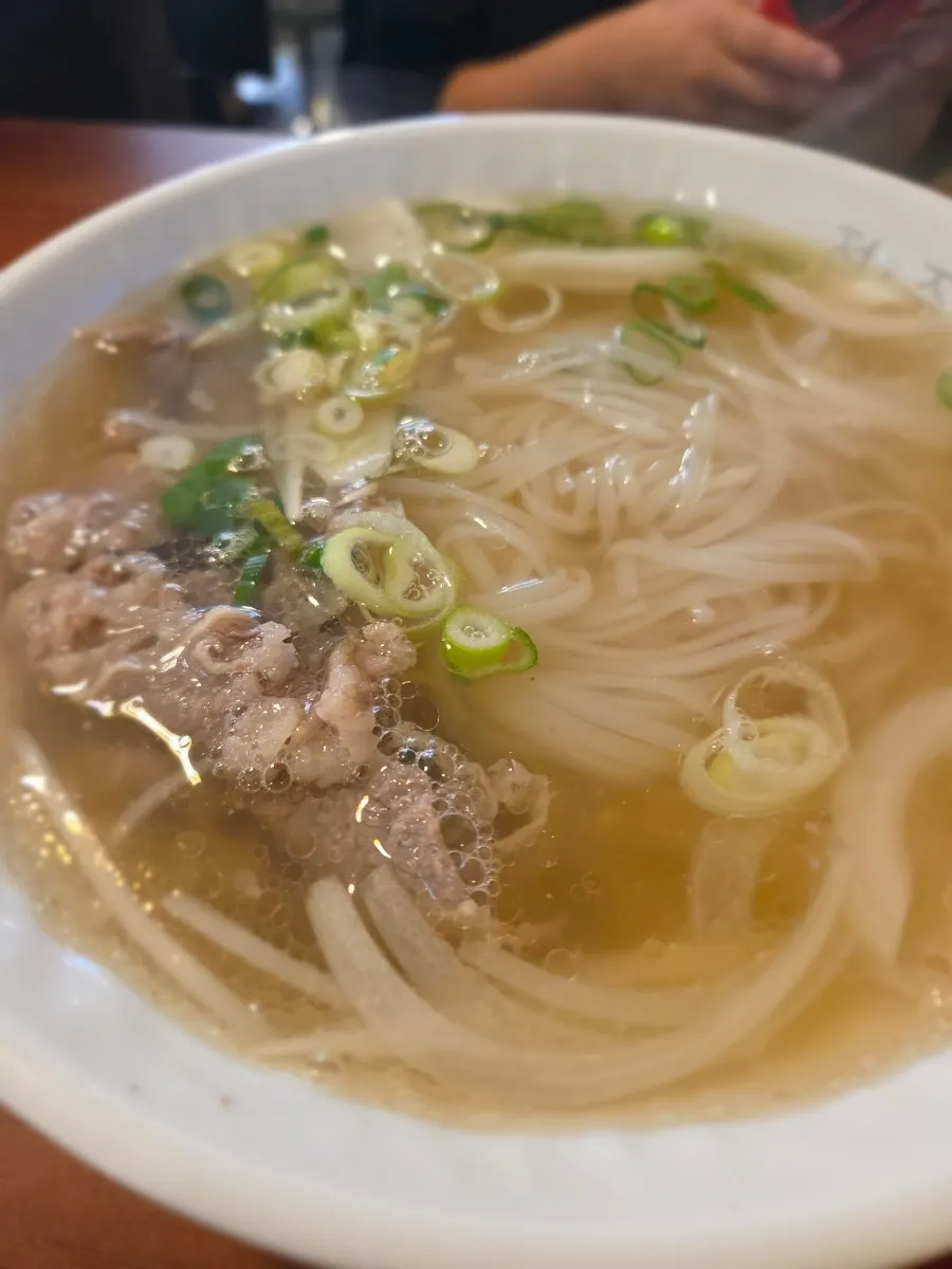 양지삼겹 고명이 올라간 쌀국수 클로즈업