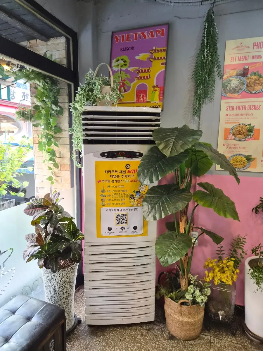 Seating at Pho Witch with rattan chairs and potted plants