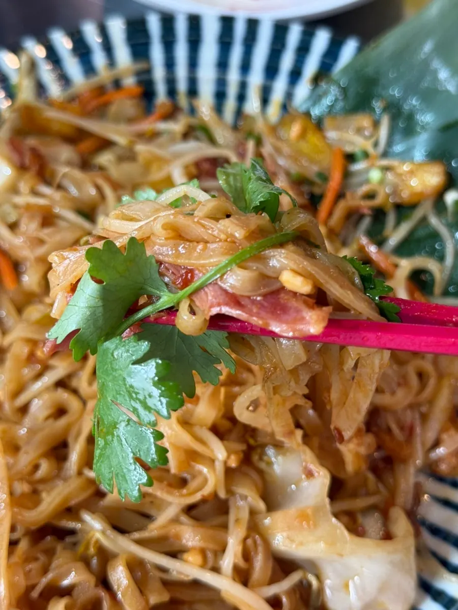 Pad thai noodles topped with cilantro