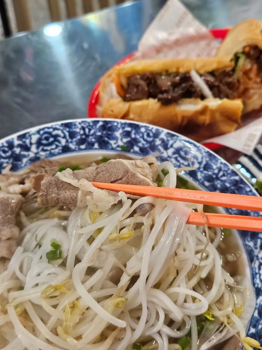 숙주 아래 면이 가득한 쌀국수