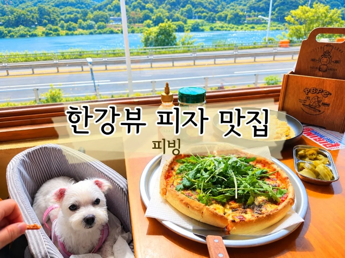 Table spread of pizza and pasta with the Han River view in the background
