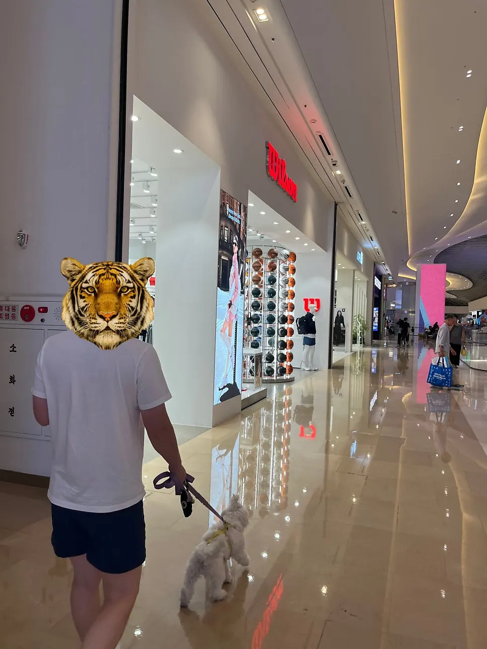 日が沈む頃のピビン・パルダン店ルーフトップ