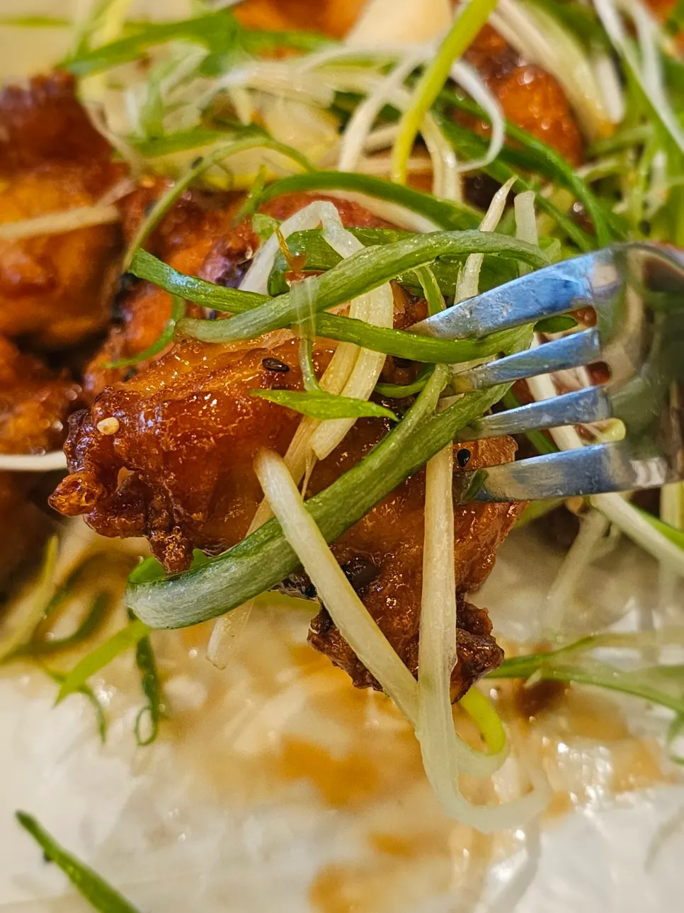 Soy-sauce-based ganpama chicken with scallion shreds