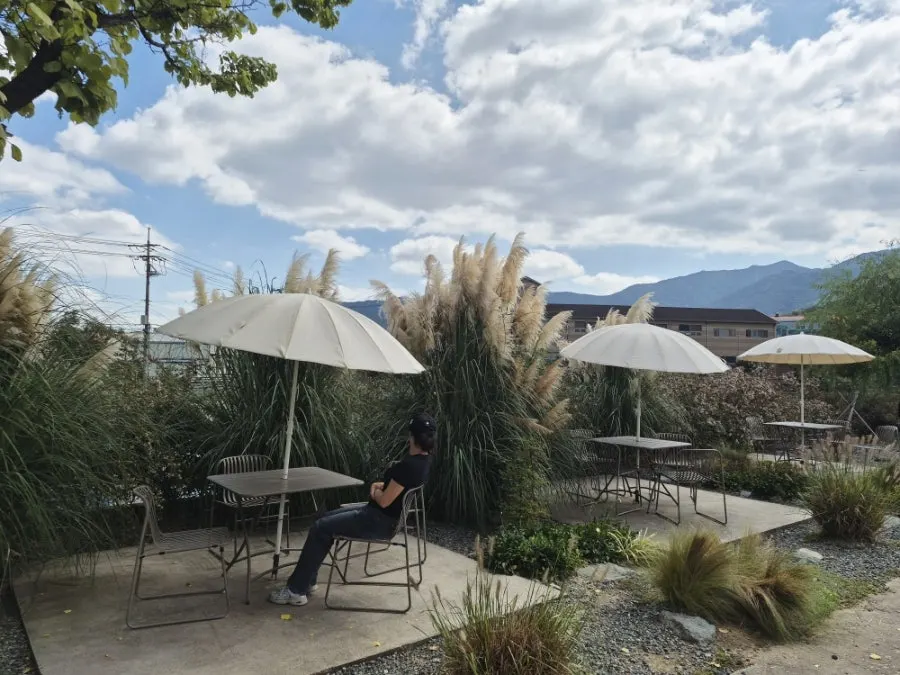 Outdoor terrace with pampas grass