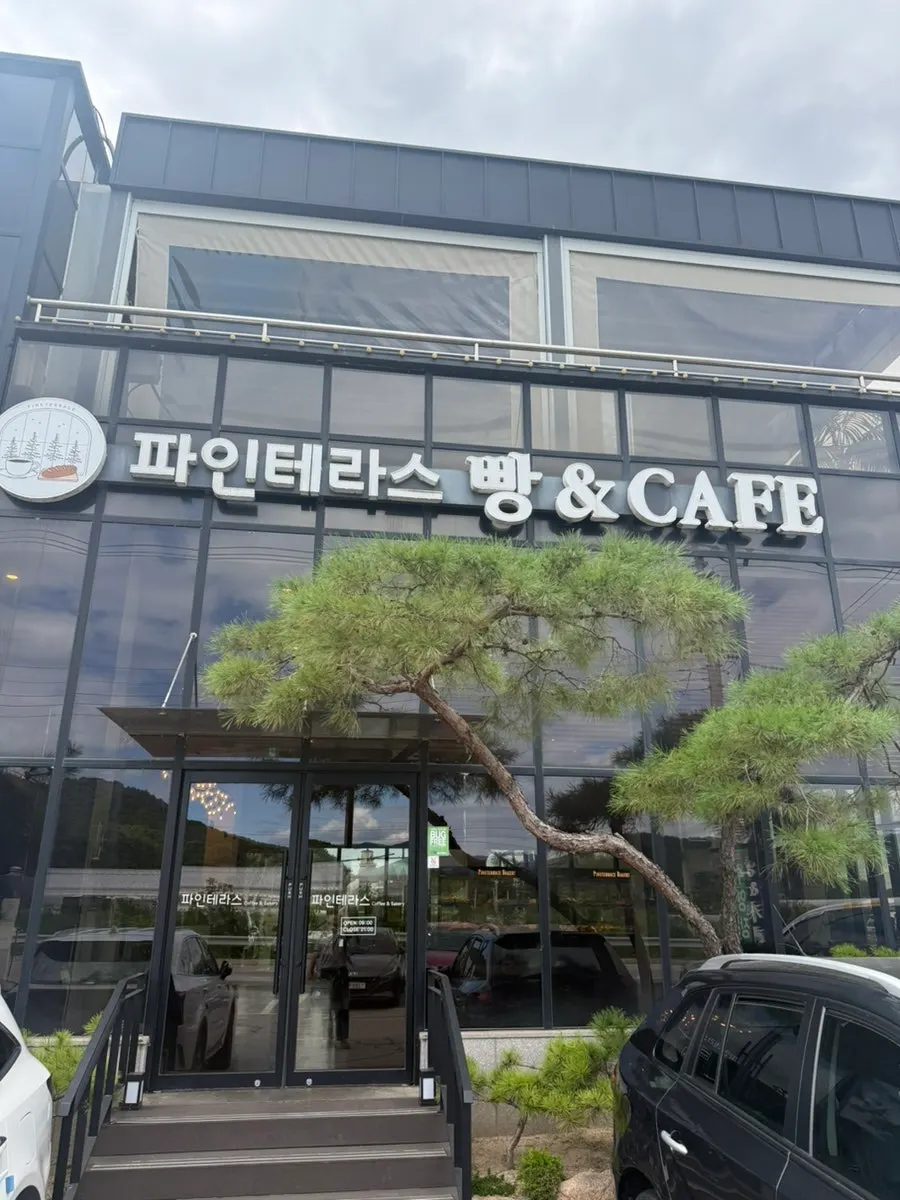 Visit to Pine Terrace, a bakery café in Goyang