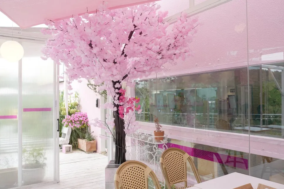 Dog-friendly outdoor space at Pink Wall Cafe