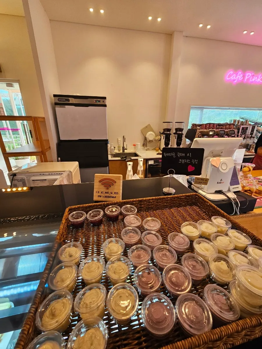 Bakery display case at Pink Wall Cafe