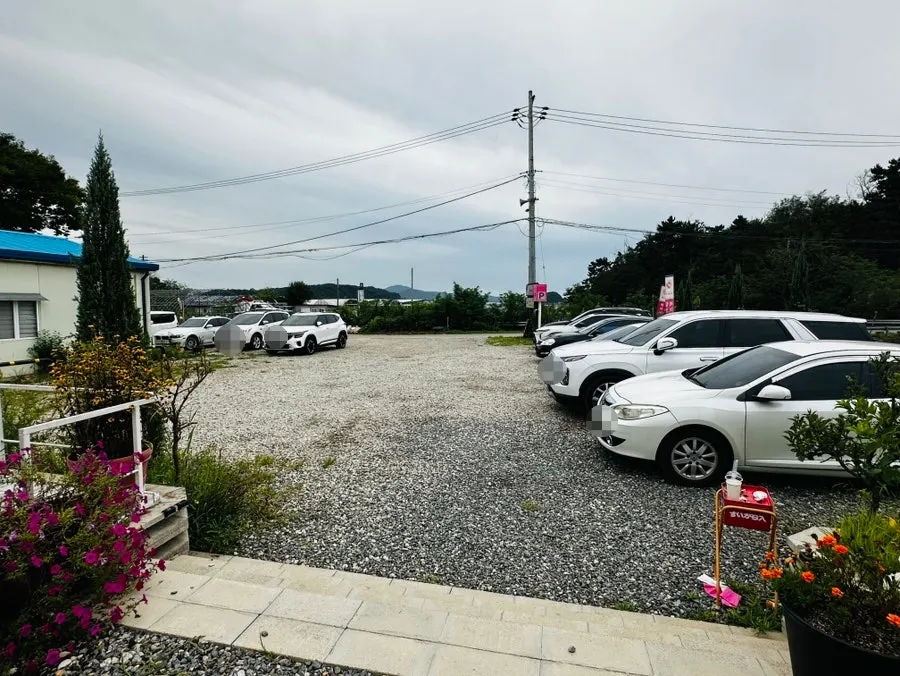 Dedicated parking lot at Pink Wall Cafe