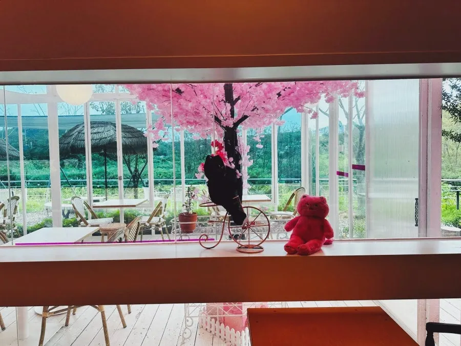 Pink props displayed inside the café