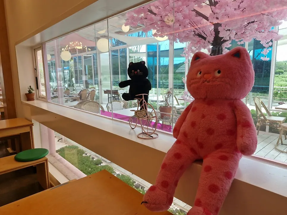 Seating decorated with pink props