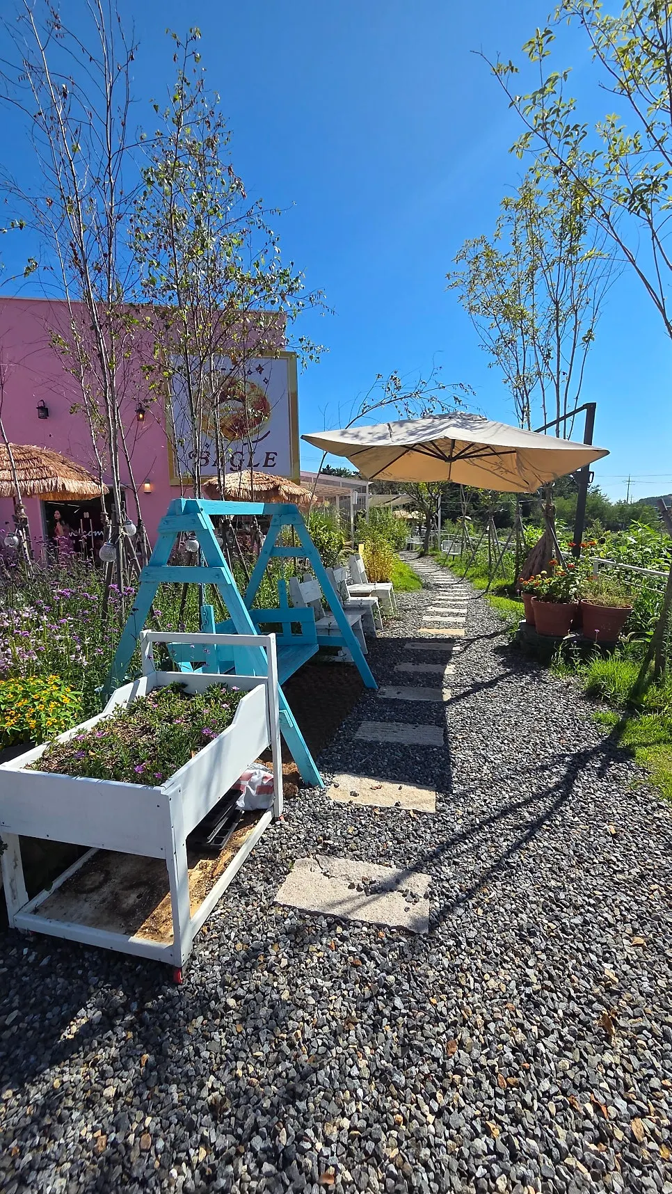 Swing beside the entrance of Pink Wall Cafe