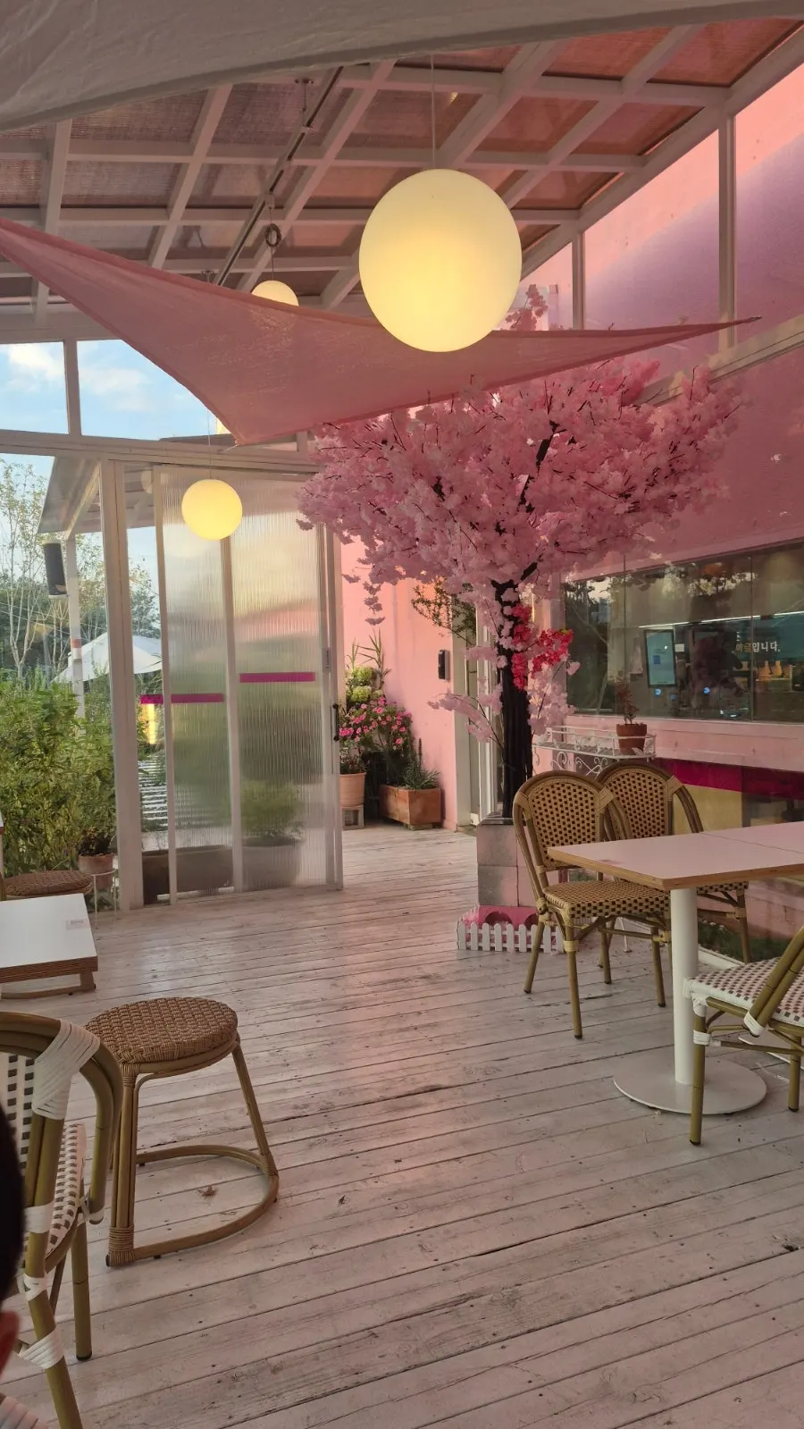 Garden walking space at Pink Wall Cafe