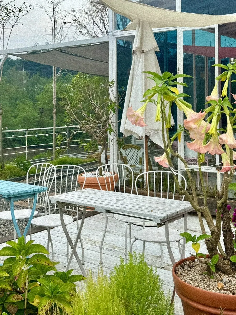 Flowering garden photo spot at Pink Wall Cafe