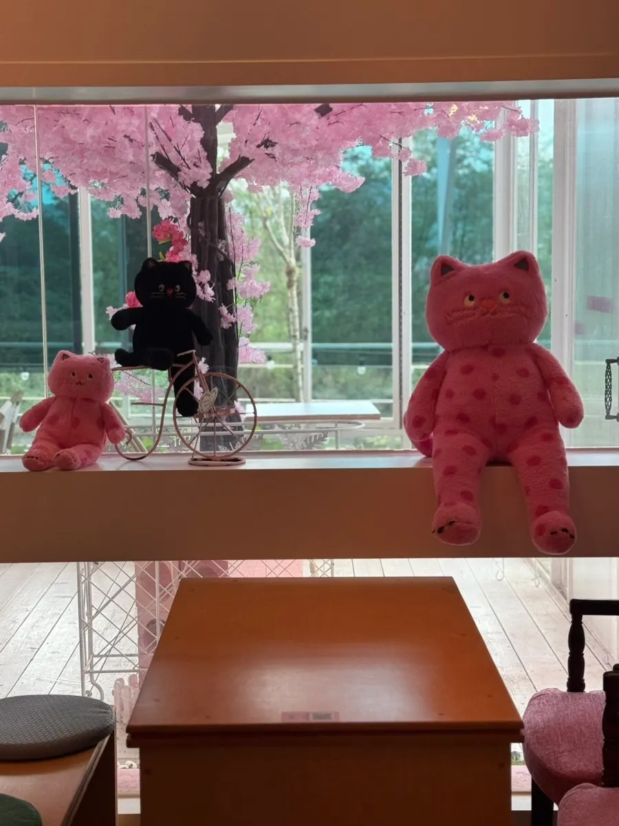 Full view of Pink Wall Cafe's dessert showcase