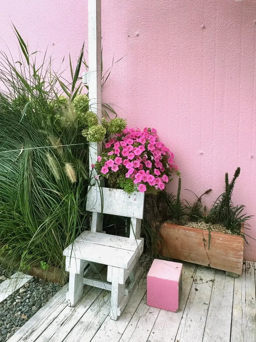 Interior space with pink accents at Pink Wall Cafe