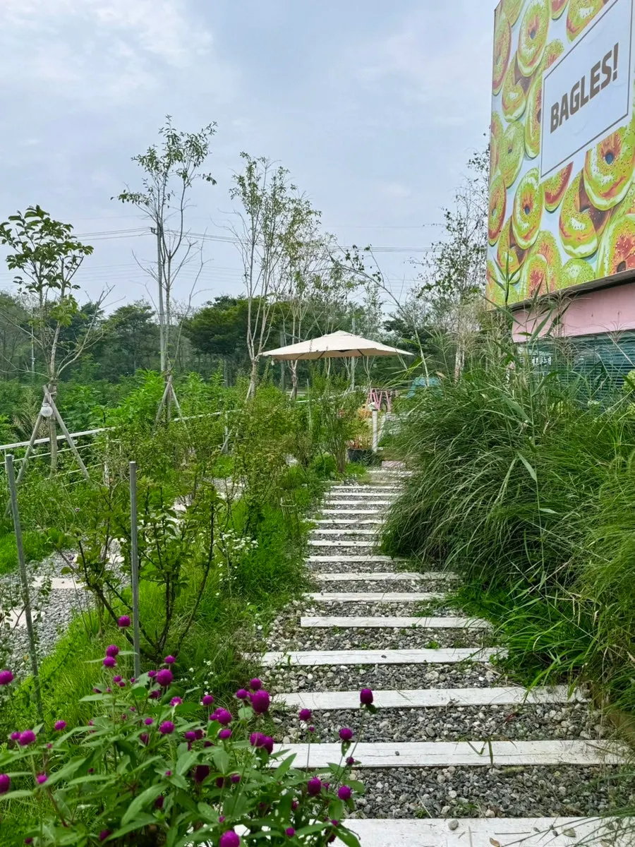 Photogenic corner at Pink Wall Cafe