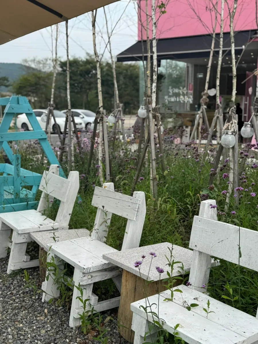 Garden at Pink Wall Cafe, good for a walk