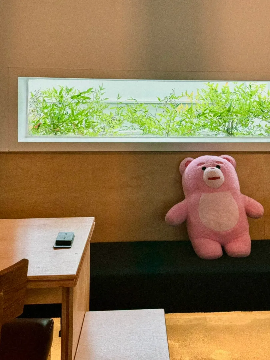 Pet-friendly terrace space at Pink Wall Cafe
