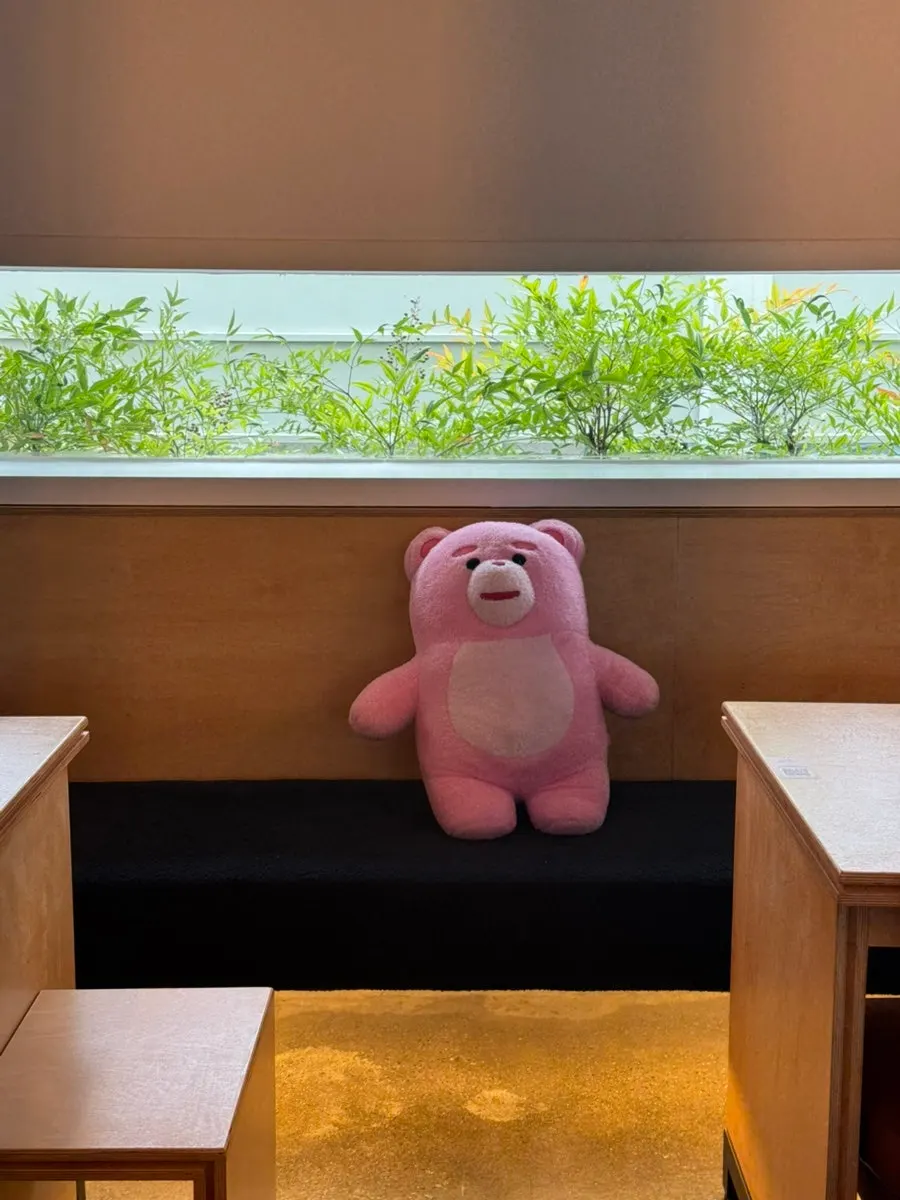 Garden photo spot at Pink Wall Cafe