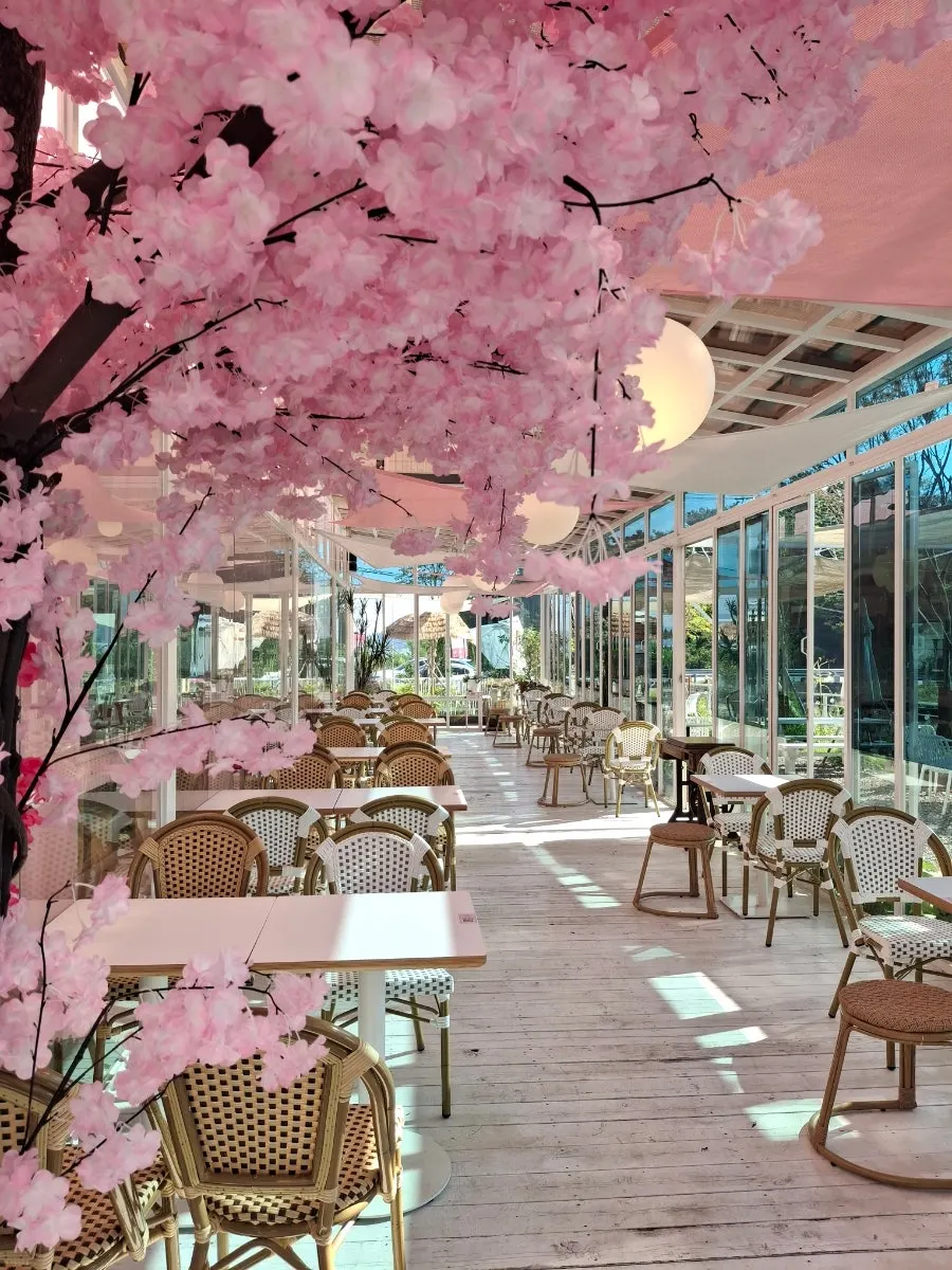 Spaciously arranged outdoor tables at Pink Wall Cafe