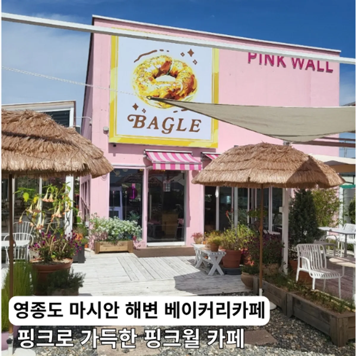 Pink-themed exterior view of Pink Wall Cafe