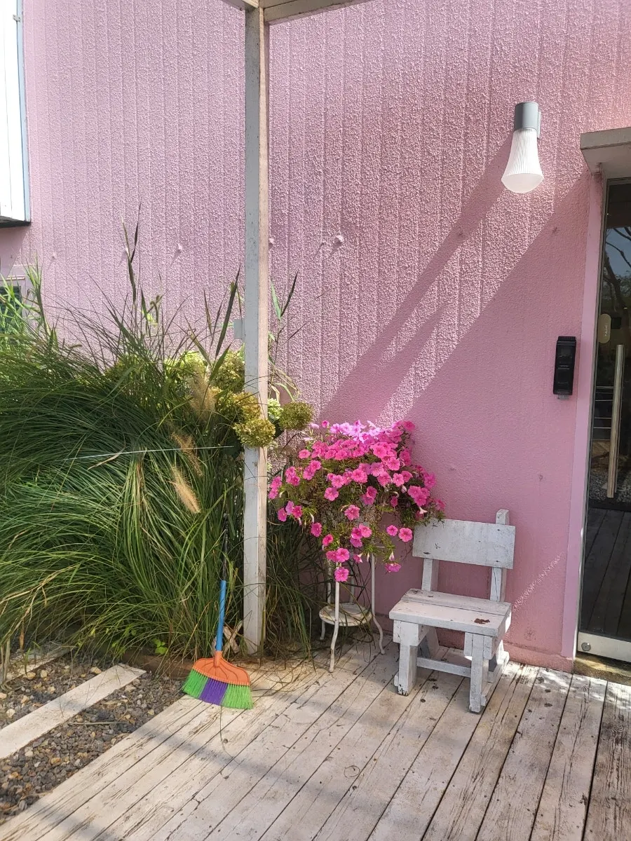 Dog-friendly outdoor terrace seating