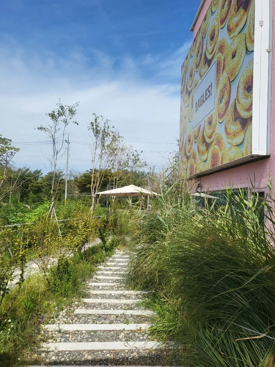 View of the café with the pink photo zone and outdoor garden