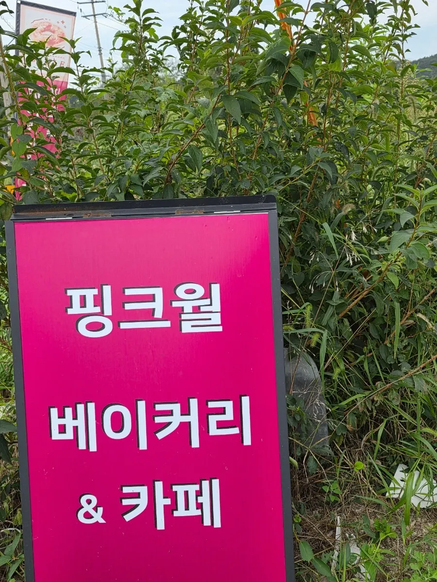 View of Pink Wall Cafe found after a drive