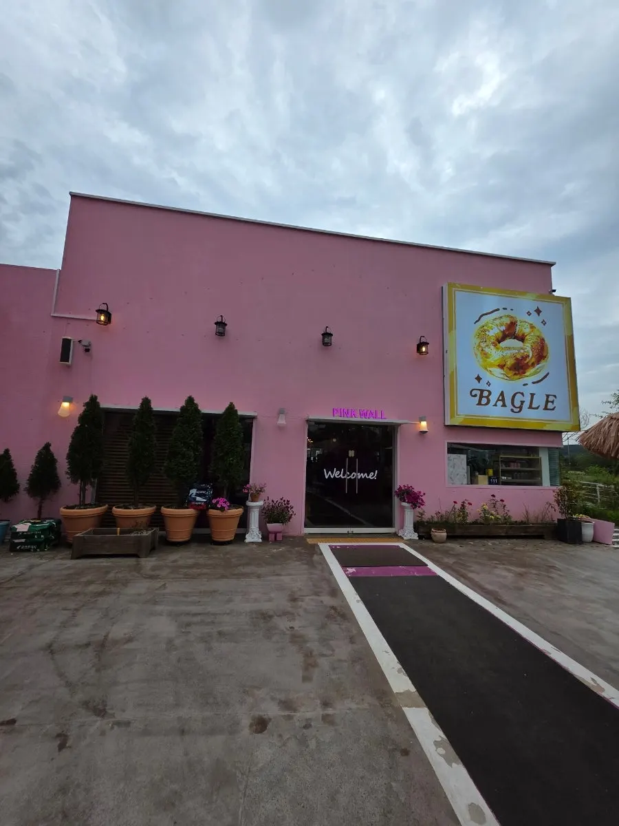 Pet-friendly space at Pink Wall Cafe