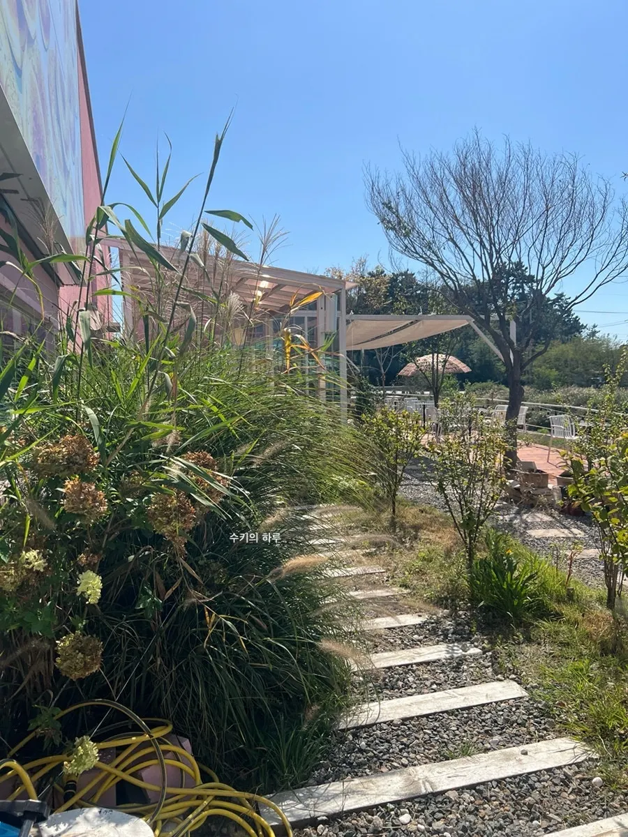 Outdoor deck and parasol seating at Pink Wall Cafe