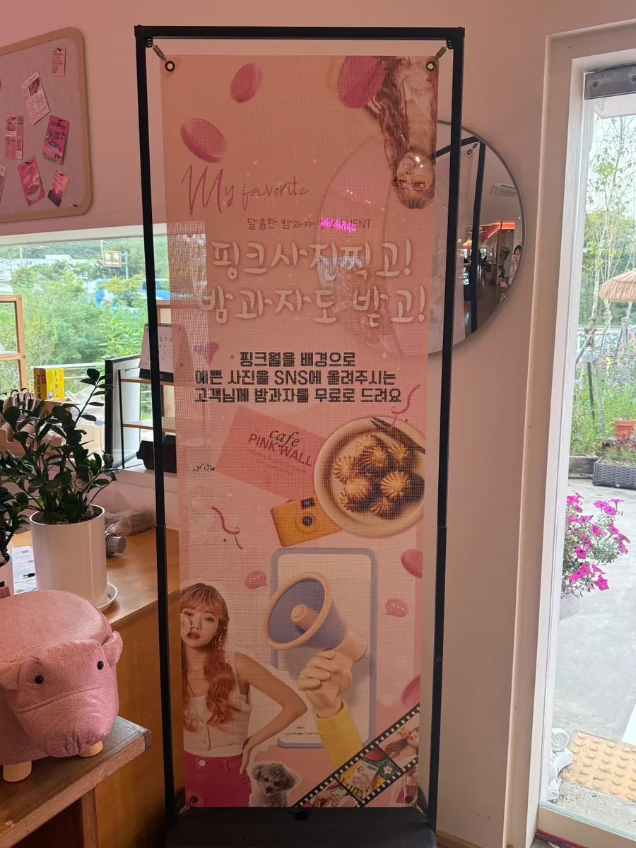 핑크월카페 실내 핑크 인테리어
