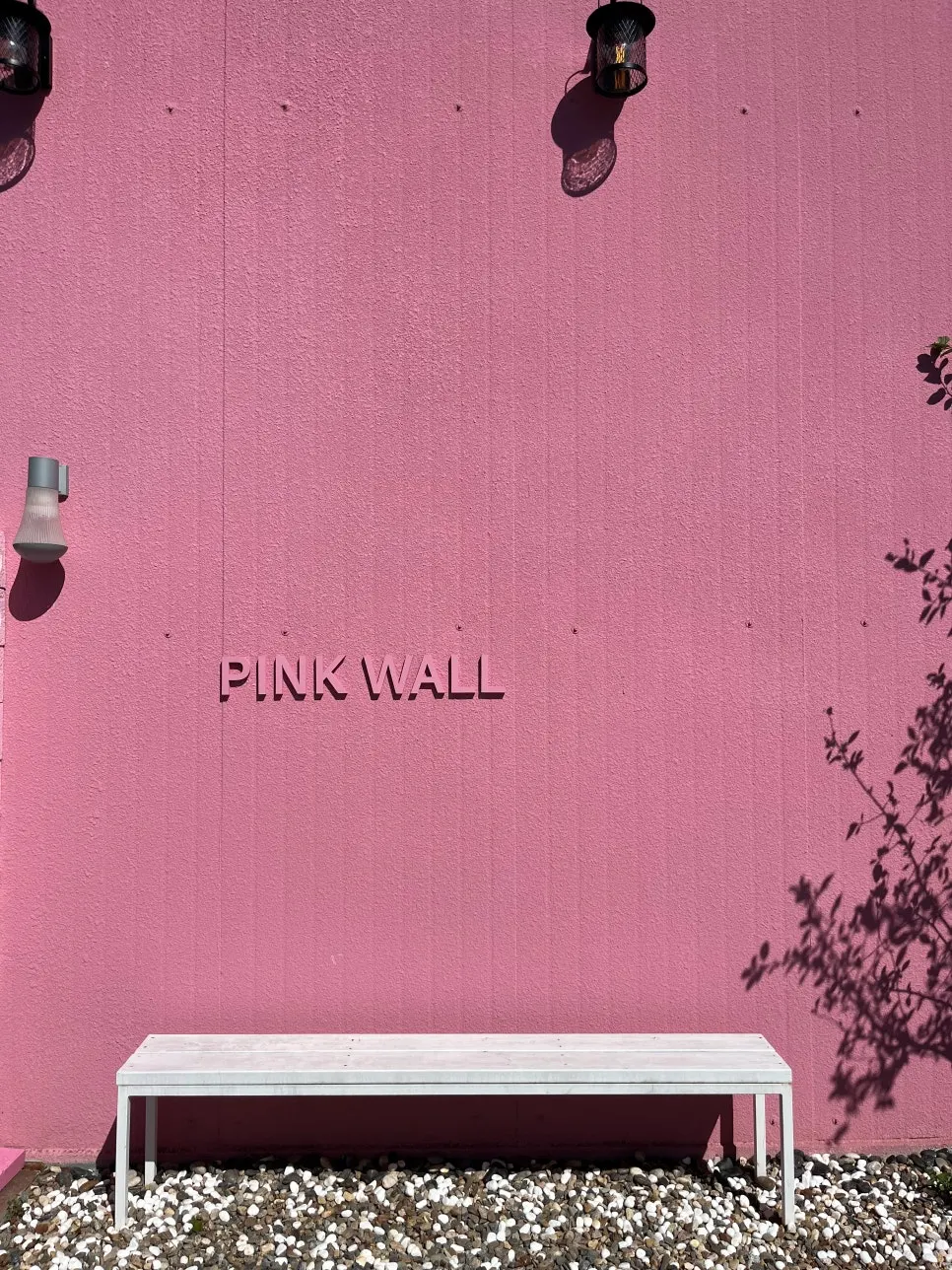 Flowers and vivid pink wall along the path to the café