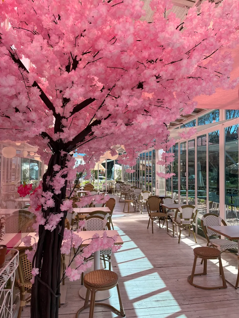 Walking path and garden in the middle of the café