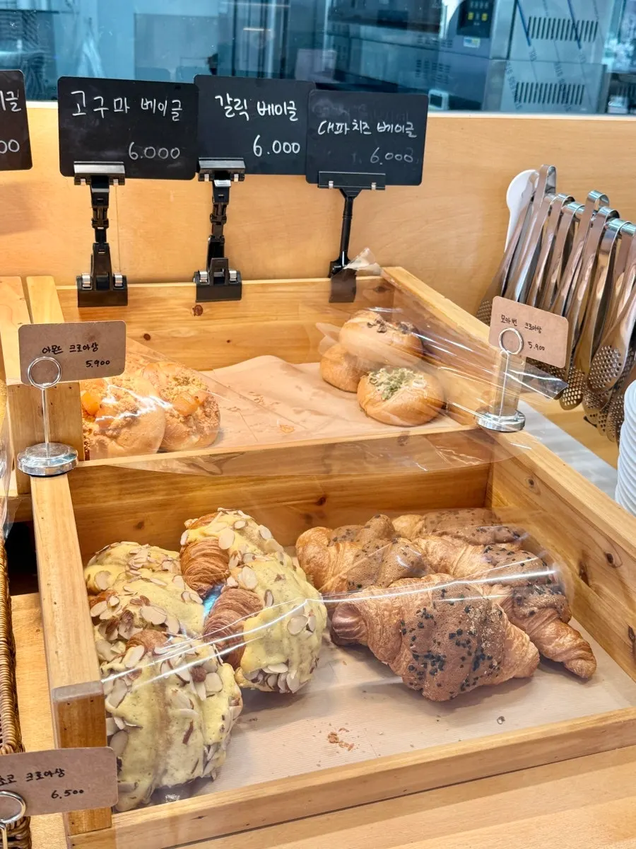 Bakery counter with sobo chestnut bagels and more