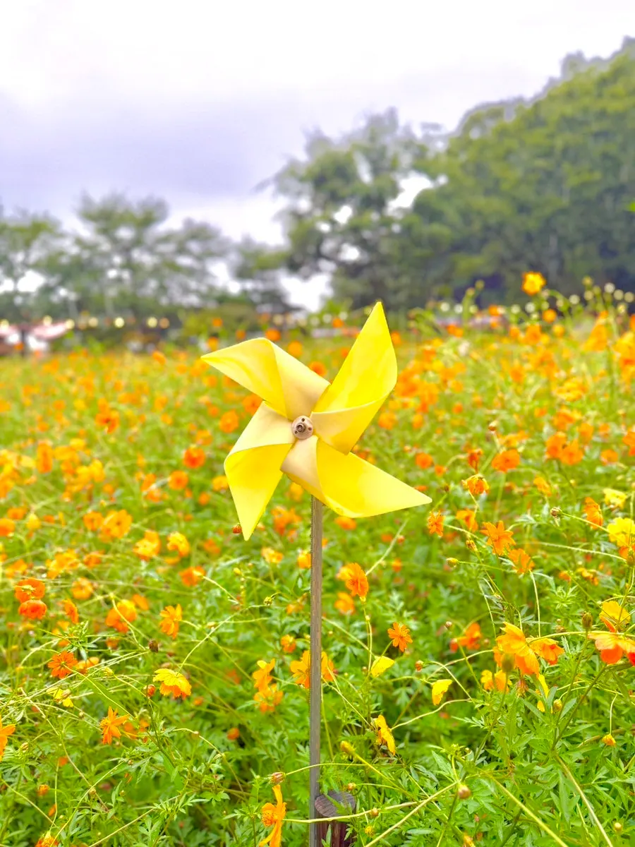 Red windmill amid the cosmos field
