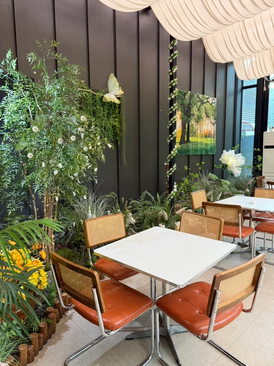 Pino Cafe main building interior decor