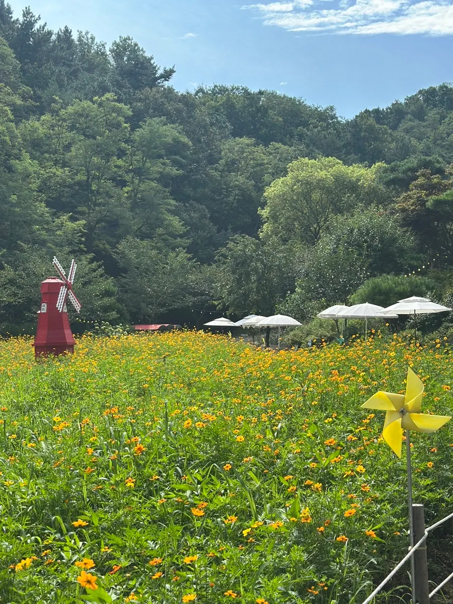 피노카페 유아 편의시설 공간