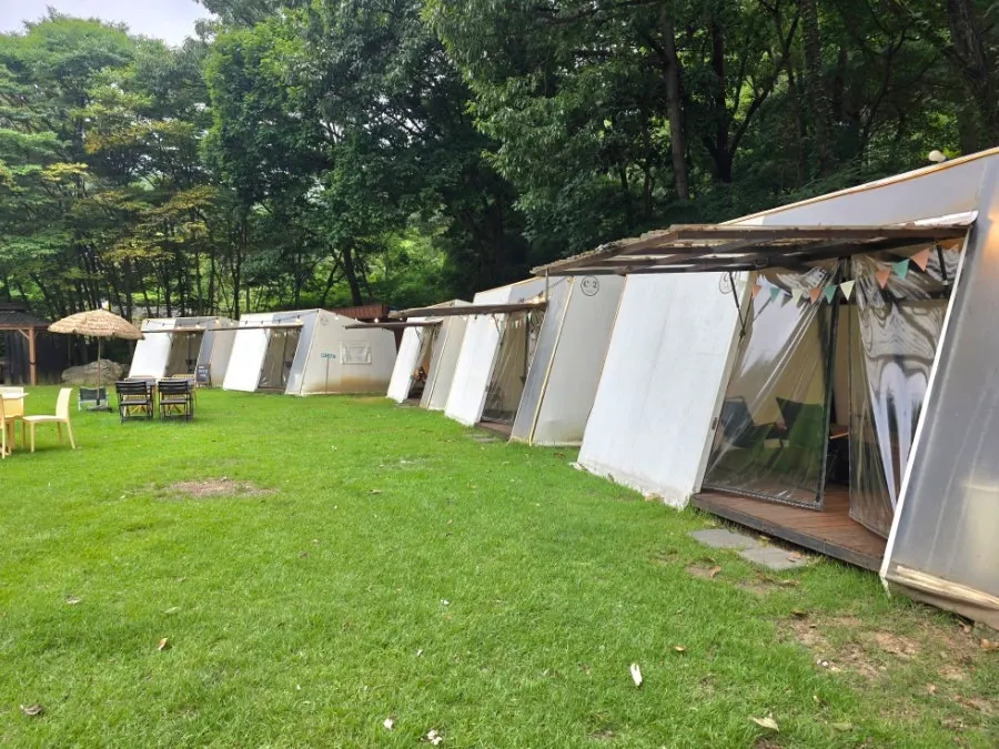 정원 위쪽에 넓게 펼쳐진 잔디밭