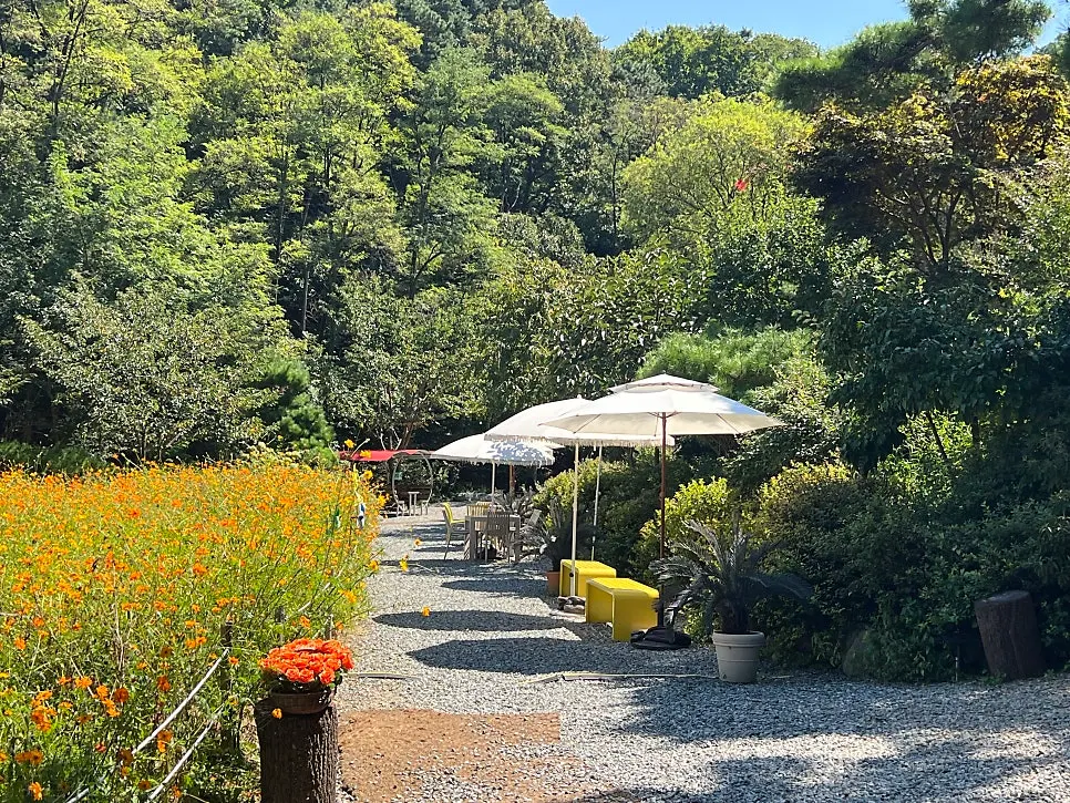 Outdoor terrace seating view at Pino Cafe Cheonan