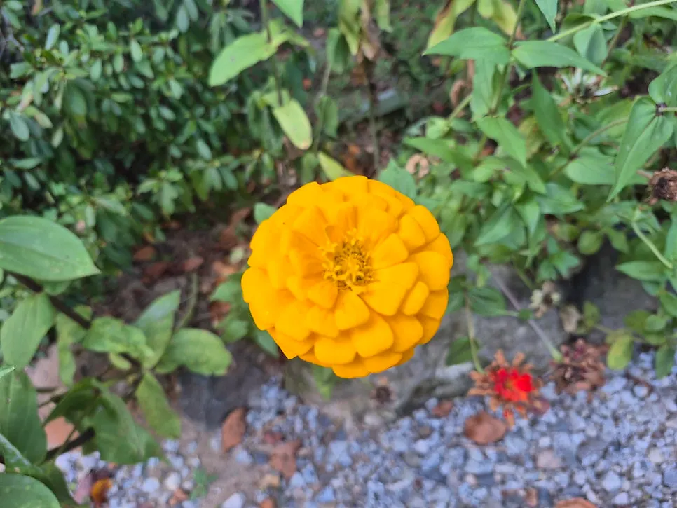 写真映えする庭園のフォトゾーン