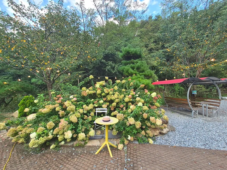 デイジー庭園だった区域の現在の様子