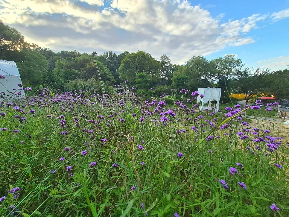 ピノカフェの庭園散歩コース