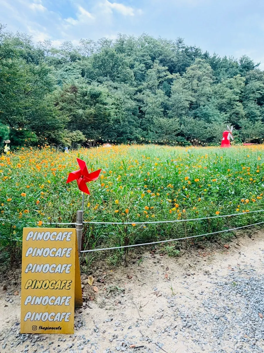 Cover image of Pino Cafe, a large café in Pungse, Cheonan